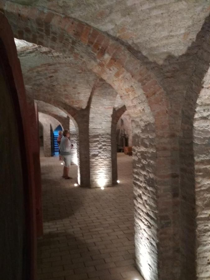 Gólya Vendégház Tiszaug Extérieur photo